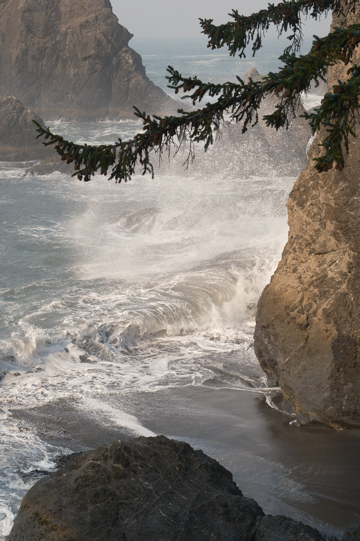 Pacific Northwest Road Trip photo titled Pacific Coast 29